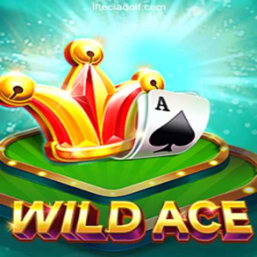 Exploring WildAce: A New Era in Gaming and Betting in Brazil